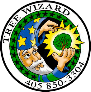 A picture of the tree wizard logo.